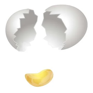 Cracked eggshell icon cartoon vector. Egg broken Stock Illustration