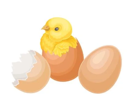 Cracked Eggshell with Yellow Chick as Hatching Process Vector Illustration Stockillustratie