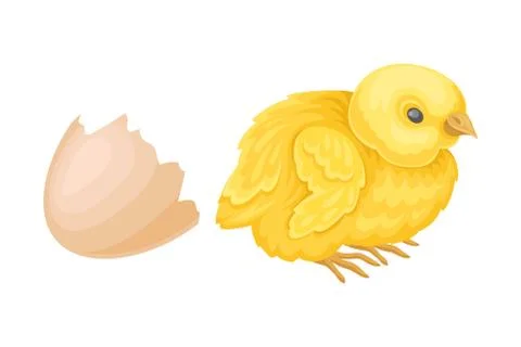 Cracked Eggshell with Yellow Chick as Hatching Process Vector Illustration 스톡 일러스트
