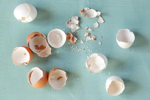 Cracked Eggshells and grinded eggshells Stock Photos
