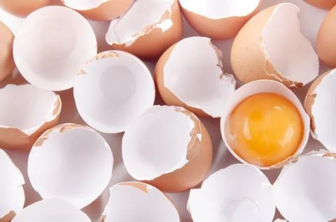 Cracked empty eggshell and yolk Stock Photos