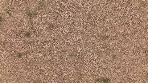 Cracked ground after drought soil drought concept. climate change and global Vídeo Stock 334030659