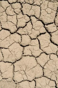 Cracked ground background 스톡 사진