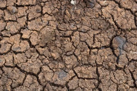 Cracked ground for background Stock Photos
