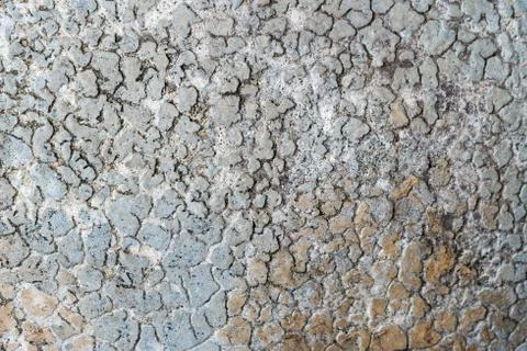 Cracked ground for background. Stock Photos