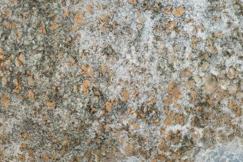 Cracked ground for background. Foto stock