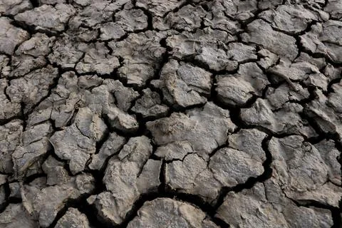 Cracked ground background Stock Photos