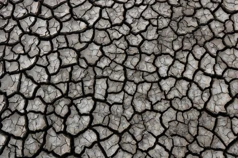 Cracked ground background Stock Photos