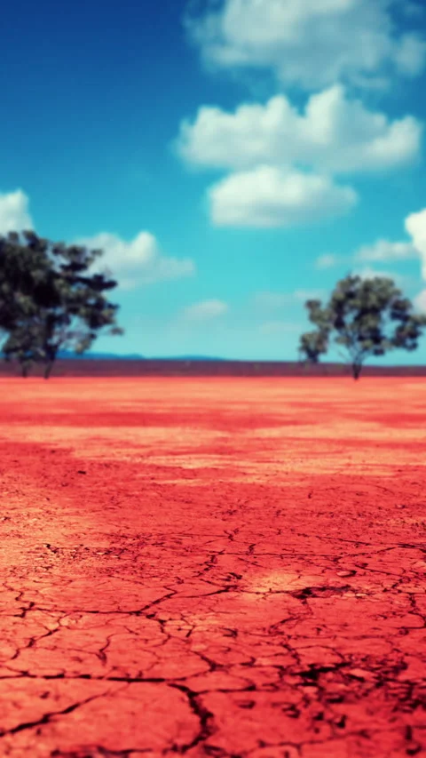 Cracked ground dry land during the dry season Stock Footage 304504909