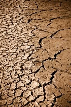 Cracked ground Foto stock