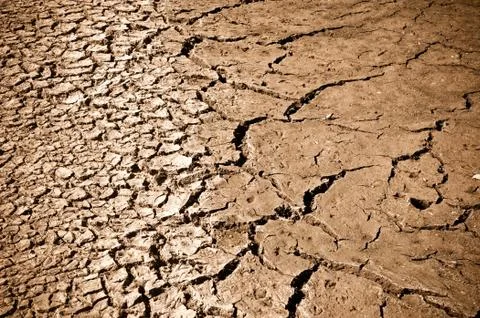 Cracked ground 스톡 사진
