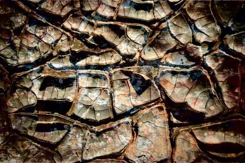 Cracked ground Stock Photos