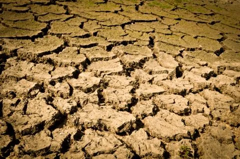 Cracked ground Stock Photos