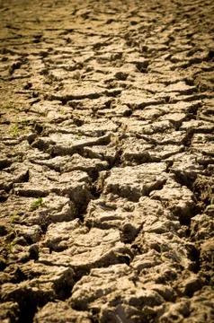 Cracked ground Foto stock