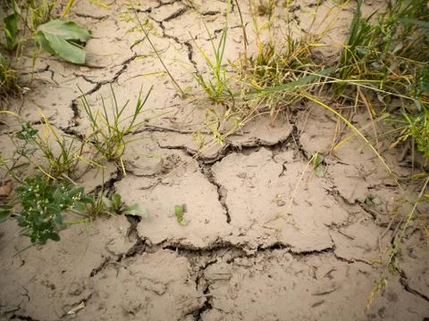 Cracked ground Stock Photos