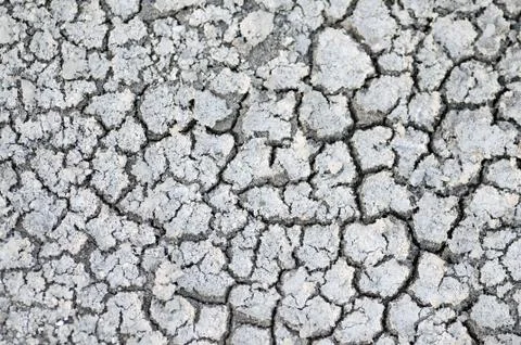 Cracked Ground Stock Photos
