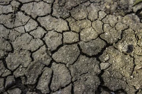 Cracked ground Stock Photos