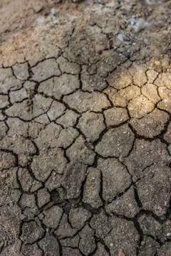 Cracked ground Stock Photos