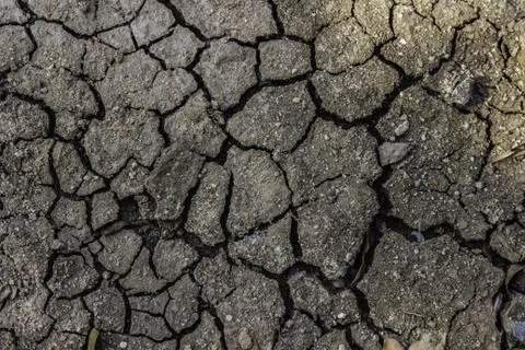 Cracked ground Stock Photos