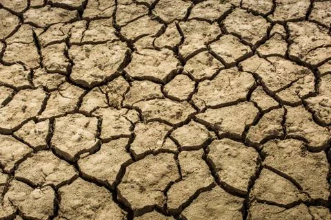 Cracked Ground Stock Photos