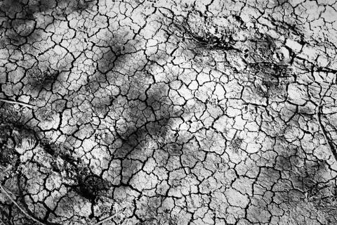 Cracked Ground Stock Photos