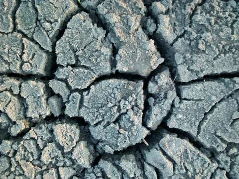 Cracked ground Stock Photos