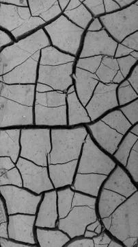 Cracked ground texture - gray Stock Photos