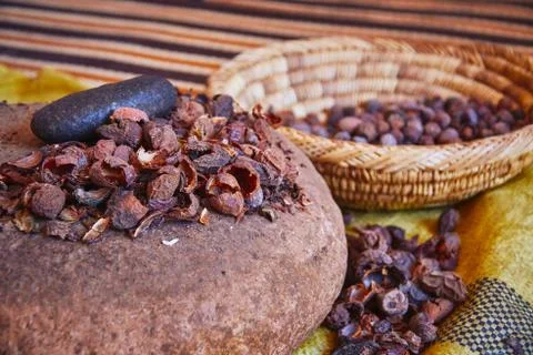 Cracked hard shells of raw argan seed nuts in Morocco Africa in the process o Stock Photos
