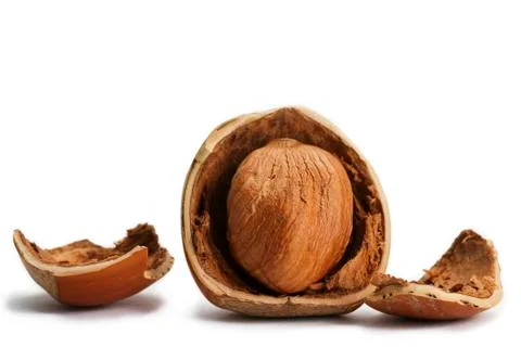 Cracked hazelnut Stock Photos