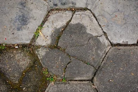 Cracked Hexagonal Pavement Texture with Moss and Plants on Concrete Stock Photos