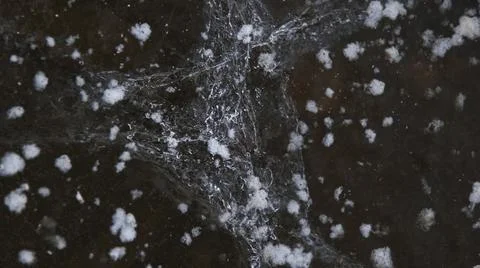 Cracked Ice Crystals Stock Photos