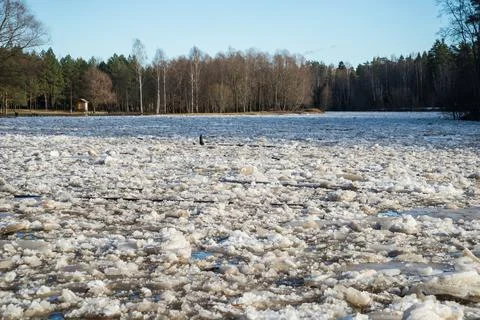 Cracked ice floating springtime on blue water mountain lake Stock Photos