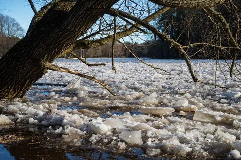 Cracked ice floating springtime on blue water mountain lake Stock Photos
