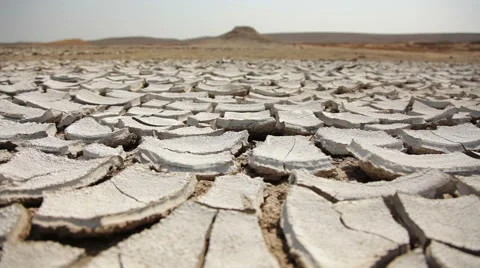 Cracked land. Stock Footage 40994688