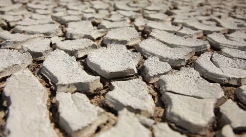 Cracked land. Stock Footage 41085479