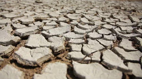 Cracked land. Stock Footage 41088322