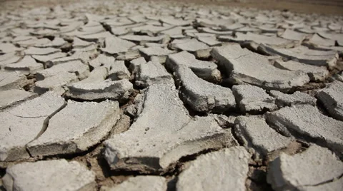 Cracked land. Stock Footage 41097143