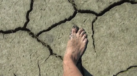 Cracked Land Stock Footage 54108598