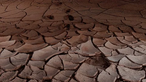 Cracked land Stock Footage 141151226