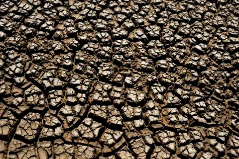 Cracked land Stock Photos