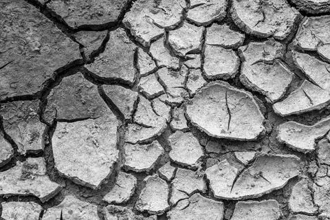 The cracked land texture in black and white tones Stock Photos