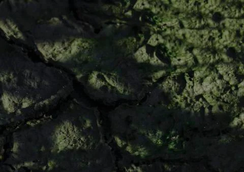 Cracked land texture Stock Photos