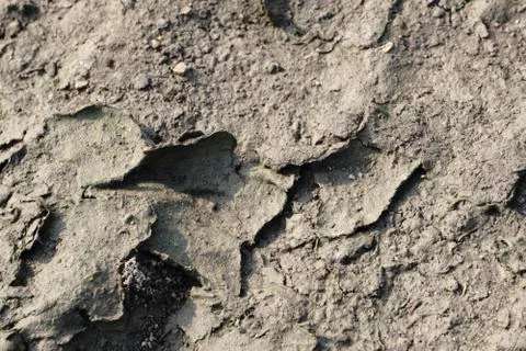 Cracked land texture Stock Photos