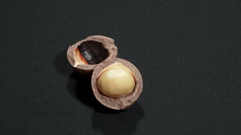 Cracked Macadamia Nut Kernel Rotating on Black. Stock-Footage 332831689