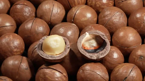 Cracked Macadamia Nut with Kernel on Top of Whole Nuts. Видео 332831361
