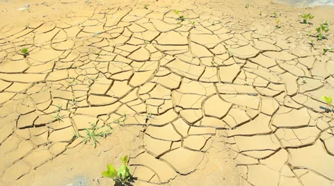 Cracked mud at the bottom of a drying pond  Stock Footage 29081902