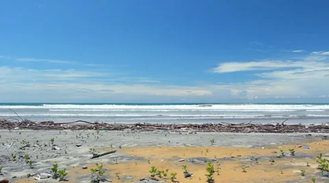 Cracked mud at the bottom of a drying pond on the Pacific coast of Ecuador Stock Footage 29663499