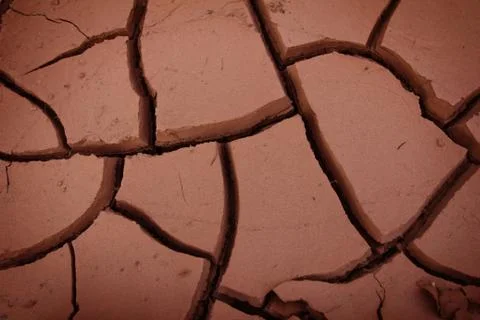 Cracked mud in desert Stock Photos