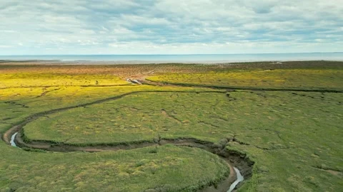 Cracked mud flats in a salt marsh. Aerial: Tidal mudflats, Abstract texture.. Vidéo 260891587