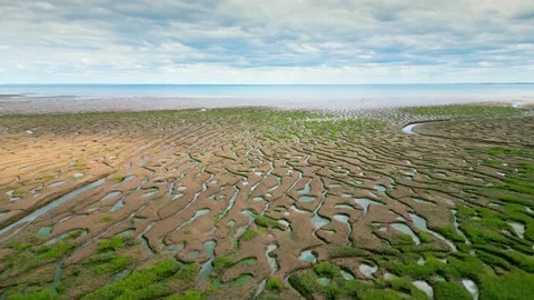 Cracked mud flats in a salt marsh. Aerial: Tidal mudflats, Abstract texture.. Vidéo 260891613